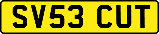 SV53CUT