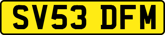 SV53DFM