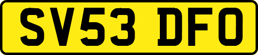 SV53DFO