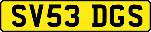 SV53DGS