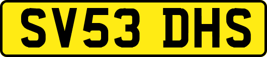 SV53DHS