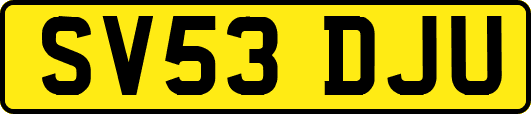 SV53DJU