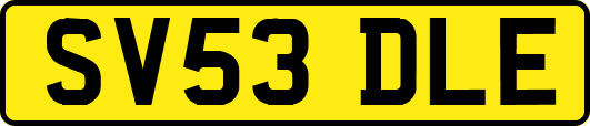 SV53DLE