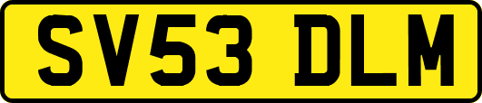 SV53DLM