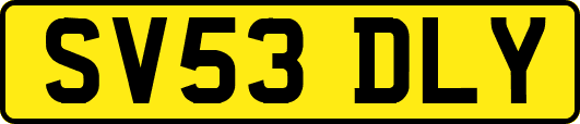 SV53DLY