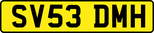 SV53DMH