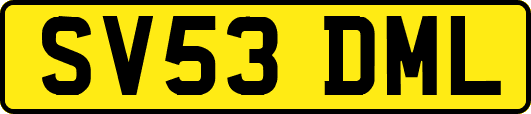 SV53DML
