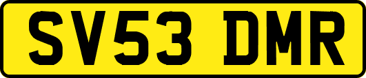 SV53DMR