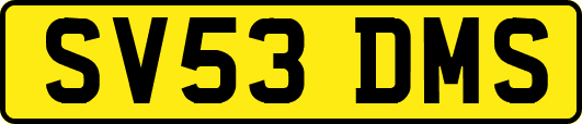 SV53DMS