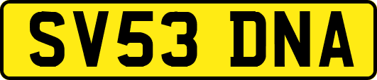 SV53DNA