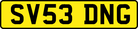 SV53DNG