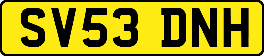 SV53DNH