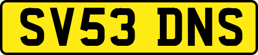SV53DNS