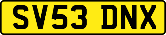 SV53DNX
