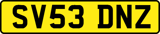 SV53DNZ