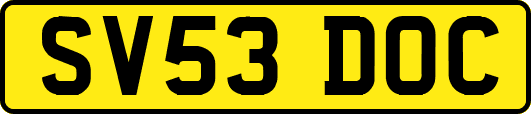 SV53DOC
