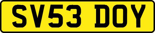 SV53DOY