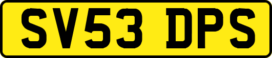SV53DPS