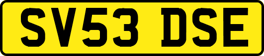 SV53DSE