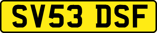 SV53DSF