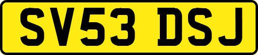 SV53DSJ