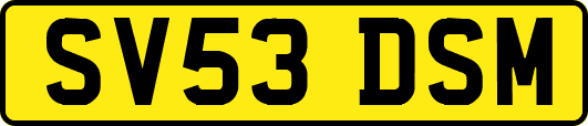 SV53DSM