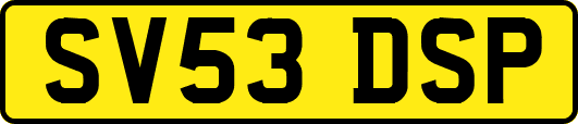 SV53DSP