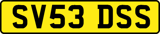 SV53DSS