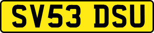 SV53DSU