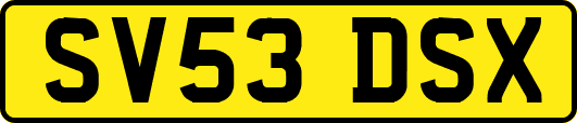 SV53DSX