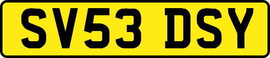SV53DSY