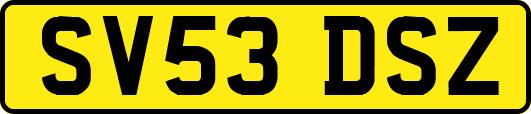 SV53DSZ