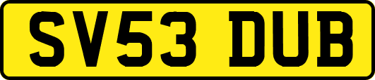 SV53DUB