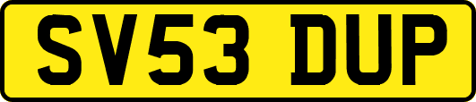 SV53DUP