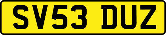 SV53DUZ