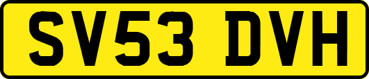 SV53DVH