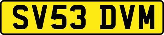 SV53DVM