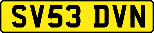 SV53DVN