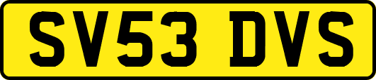 SV53DVS