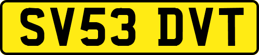 SV53DVT