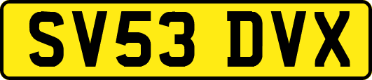 SV53DVX