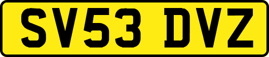 SV53DVZ