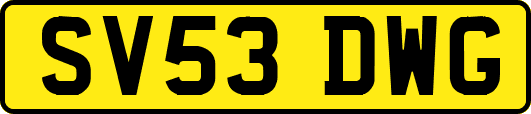 SV53DWG