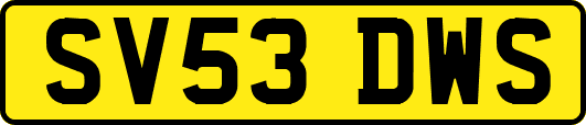 SV53DWS