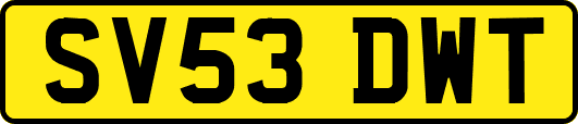 SV53DWT