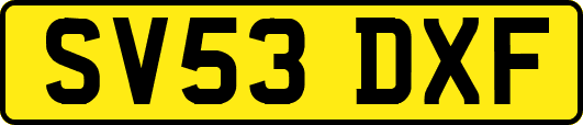 SV53DXF