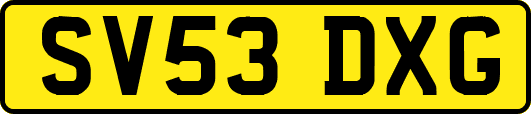 SV53DXG