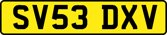SV53DXV
