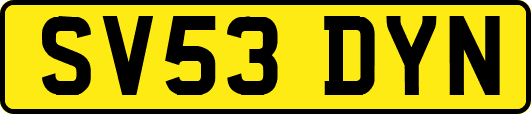SV53DYN