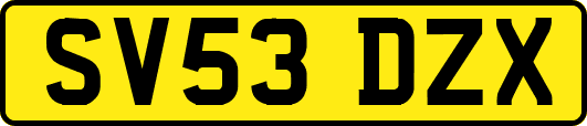 SV53DZX